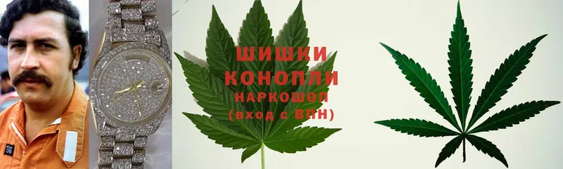 где купить наркоту  Гусь-Хрустальный  МАРИХУАНА White Widow 